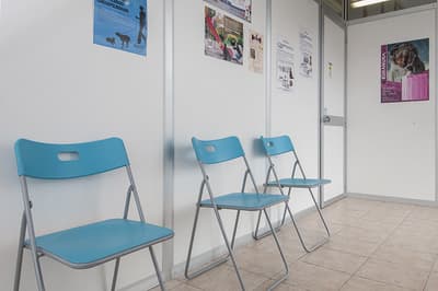 Figura illustrativa Clinica Veterinaria Dell’Isola