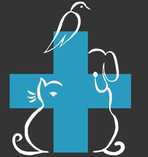 logo Clinica Veterinaria Dell’Isola