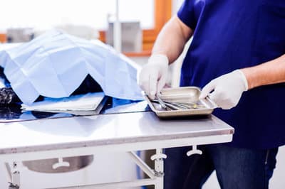 Figura illustrativa Clinica Veterinaria Dell’Isola