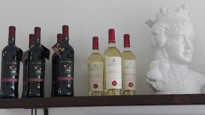 Figura illustrativa Boutique Take Away