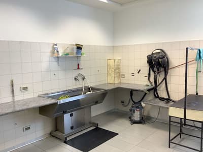 Figura illustrativa La Toletta di Buzzavo Paola