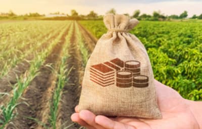 Figura illustrativa GTS Materiale Edile