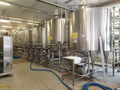 Figura illustrativa Gazze' Massimiliano