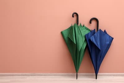 Figura illustrativa Re Maurizio