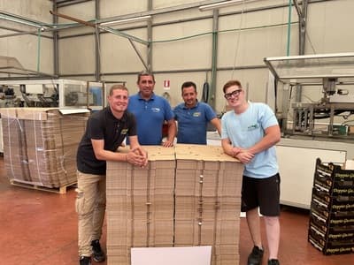 Figura illustrativa S.D. Pack