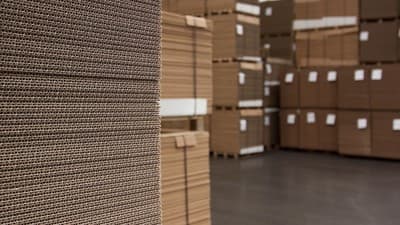 Figura illustrativa S.D. Pack