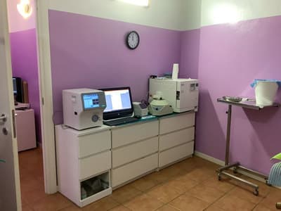 Figura illustrativa Dottoressa Cavalli Claudia Francesca