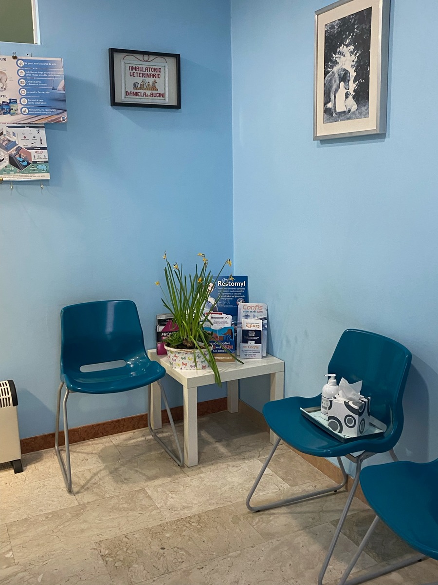 Figura illustrativa Bugini Dr Daniela