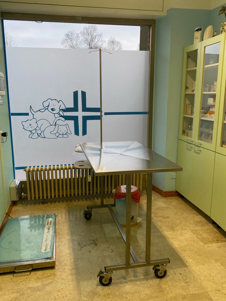 Figura illustrativa Bugini Dr Daniela