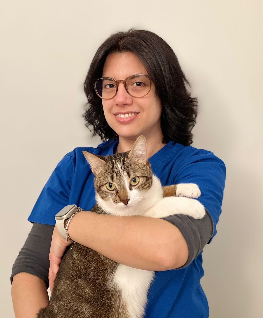 Figura illustrativa Dottoressa Cavalli Claudia Francesca