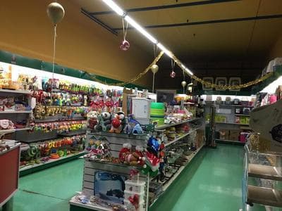 Figura illustrativa Norvet Service