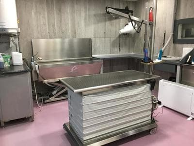 Figura illustrativa Norvet Service