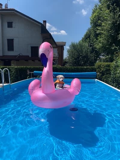 Figura illustrativa La Fenice Sport &Rehab nasce da un ‘idea di unire piu’ forze professionali