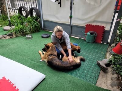 Figura illustrativa La Fenice Sport &Rehab nasce da un ‘idea di unire piu’ forze professionali