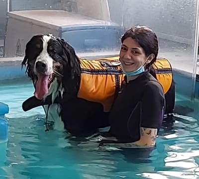 Figura illustrativa La Fenice Sport &Rehab nasce da un ‘idea di unire piu’ forze professionali