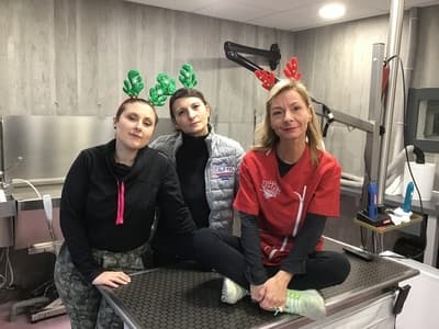 Figura illustrativa Norvet Service