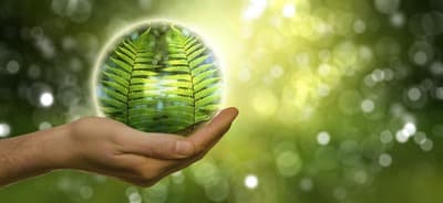 Figura illustrativa Meco.Gest