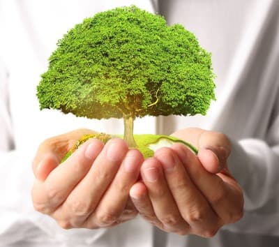 Figura illustrativa Meco.Gest