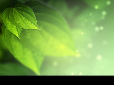 Figura illustrativa Meco.Gest