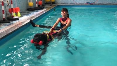 Figura illustrativa La Fenice Sport &Rehab nasce da un ‘idea di unire piu’ forze professionali