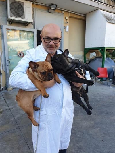 Figura illustrativa Animal Hospital