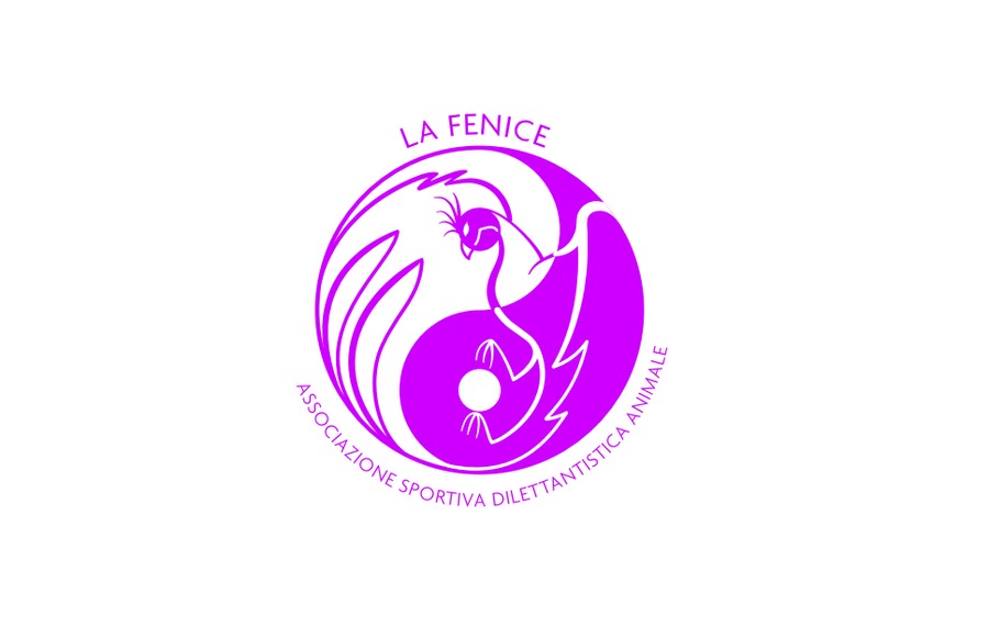 Figura illustrativa La Fenice Sport &Rehab nasce da un ‘idea di unire piu’ forze professionali