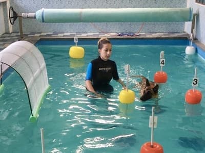 Figura illustrativa La Fenice Sport &Rehab nasce da un ‘idea di unire piu’ forze professionali