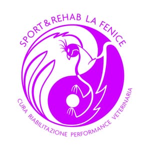 logo La Fenice Sport &Rehab nasce da un ‘idea di unire piu’ forze professionali