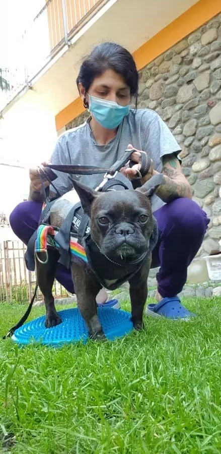 Figura illustrativa La Fenice Sport &Rehab nasce da un ‘idea di unire piu’ forze professionali