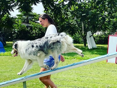 Figura illustrativa La Fenice Sport &Rehab nasce da un ‘idea di unire piu’ forze professionali