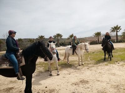 Figura illustrativa Agriturismo Fattoria del Cavaliere