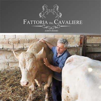 Figura illustrativa Agriturismo Fattoria del Cavaliere