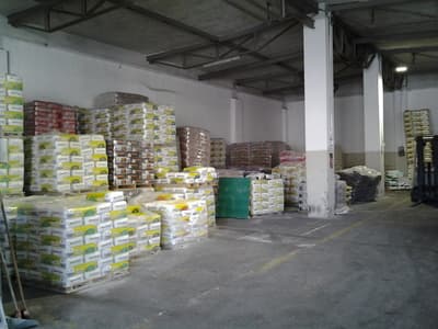 Figura illustrativa Demiri Lulzim