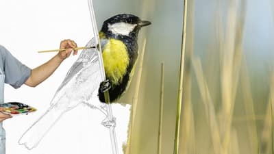 Figura illustrativa Cartolibreria La Casa Di Carta