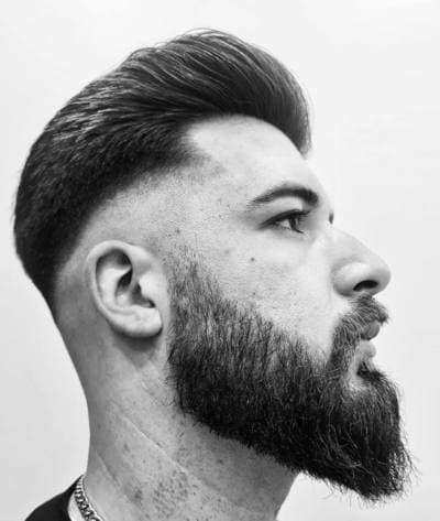 Figura illustrativa Il Barber