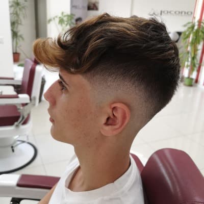 Figura illustrativa Il Barber