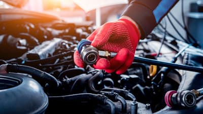 Figura illustrativa Meccatronica Angelino Ignazio