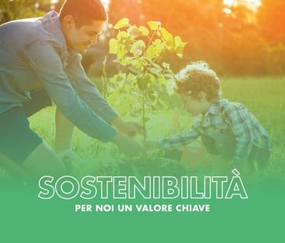 Figura illustrativa MT Costruzioni snc