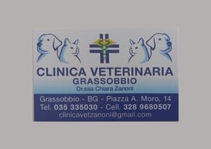 logo Clinica Veterinaria Dott.ssa Chiara Zanoni