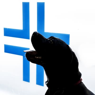 Figura illustrativa CLINICA VETERINARIA LEGNANO