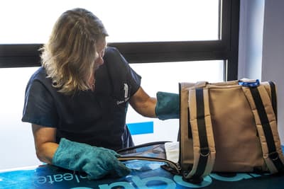 Figura illustrativa CLINICA VETERINARIA LEGNANO