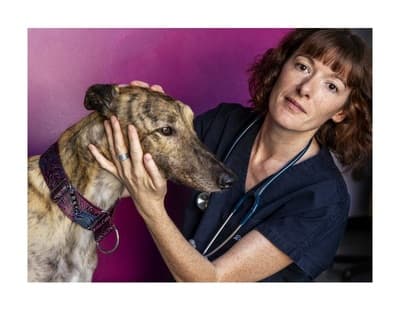 Figura illustrativa CLINICA VETERINARIA LEGNANO