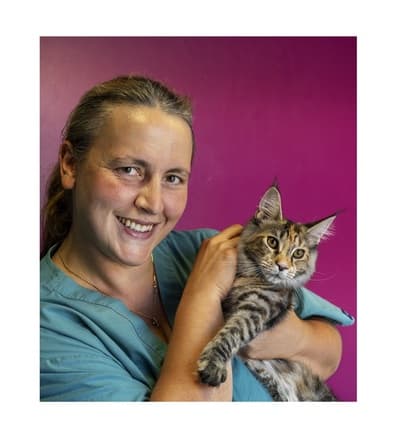 Figura illustrativa CLINICA VETERINARIA LEGNANO