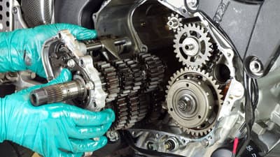 Figura illustrativa Tecnomoto Vitello