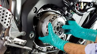 Figura illustrativa Tecnomoto Vitello