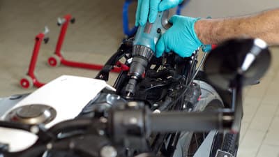 Figura illustrativa Tecnomoto Vitello