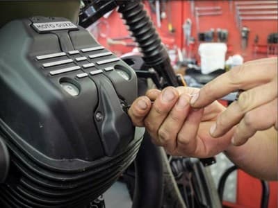 Figura illustrativa Tecnomoto Vitello