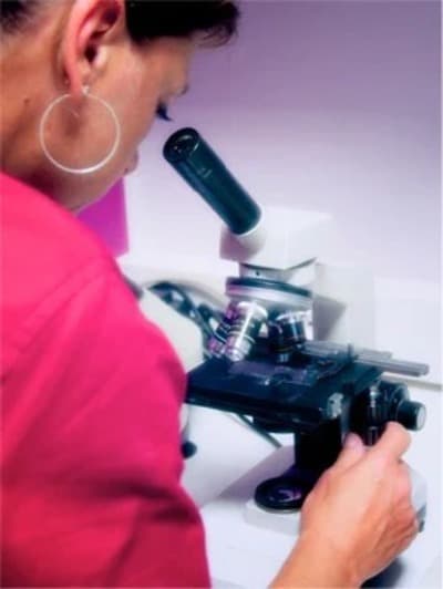 Figura illustrativa CLINICA VETERINARIA LEGNANO