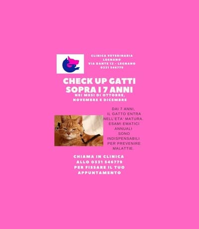 Figura illustrativa CLINICA VETERINARIA LEGNANO