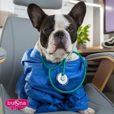 Figura illustrativa FarmaBellomo della Dottoressa Bellomo Rosita